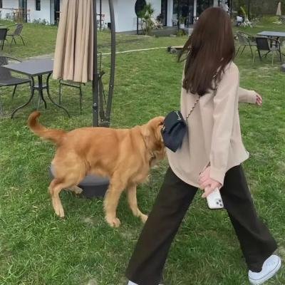 两公婆八条心