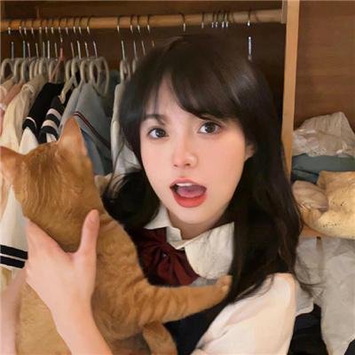 闪电狗