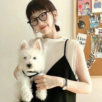 雾水总统